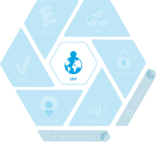 ERP de Chess Suite